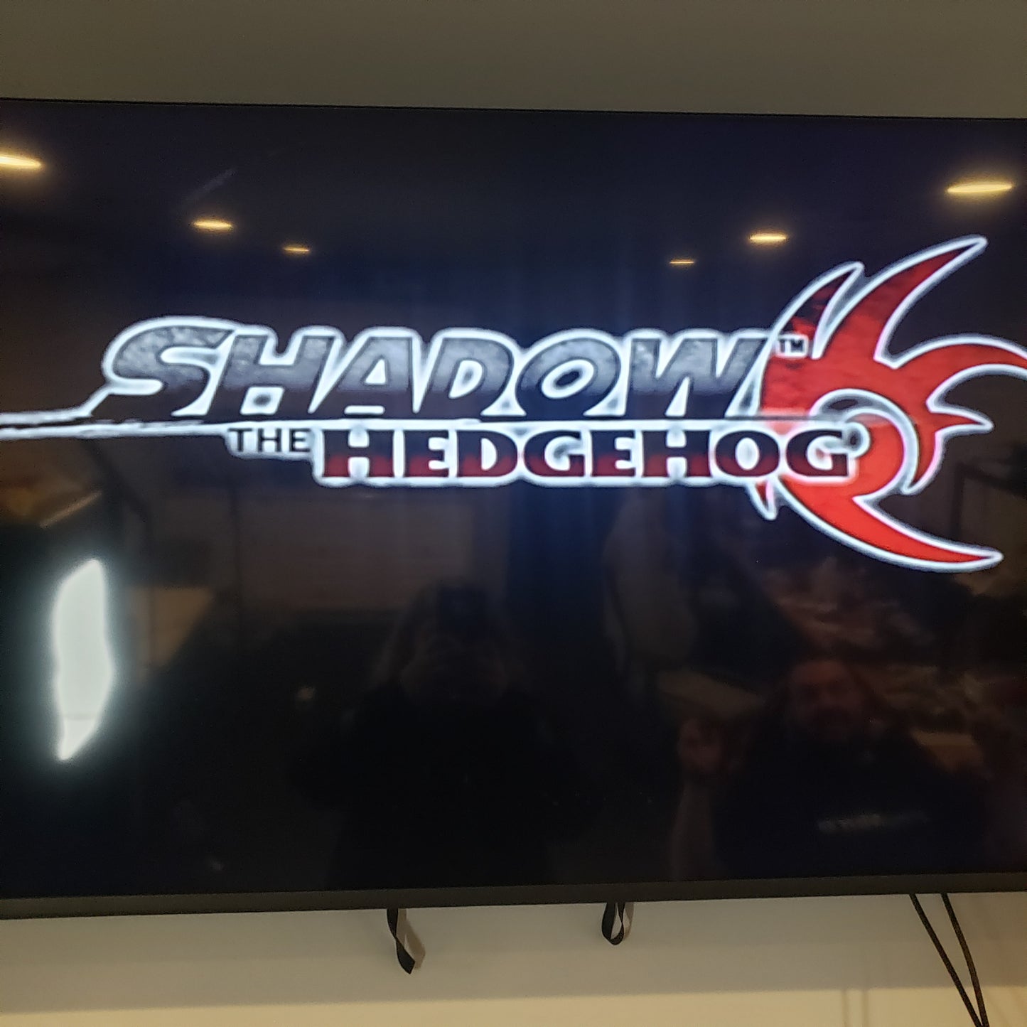 Shadow the Hedgehog (Nintendo GameCube, 2005)